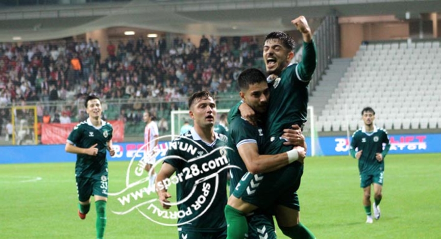 Sadakatin adı:  Şahin Dik