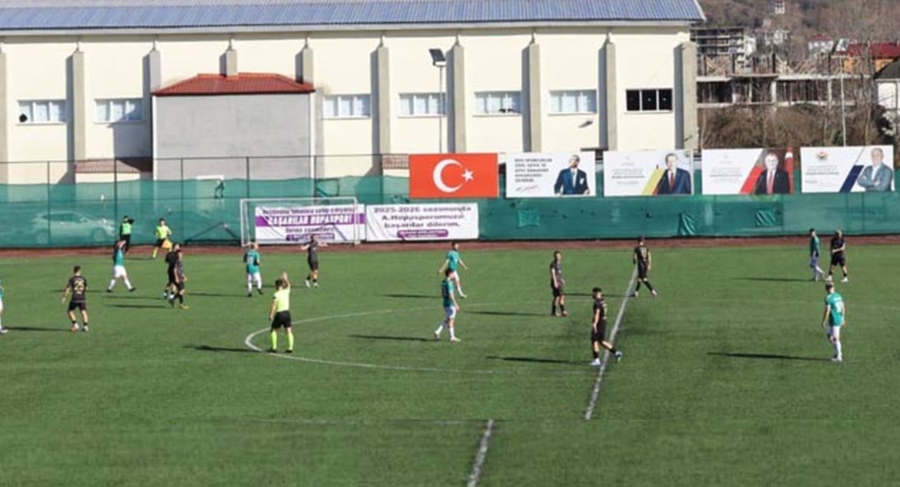 Yeniyol sonunu getiremedi